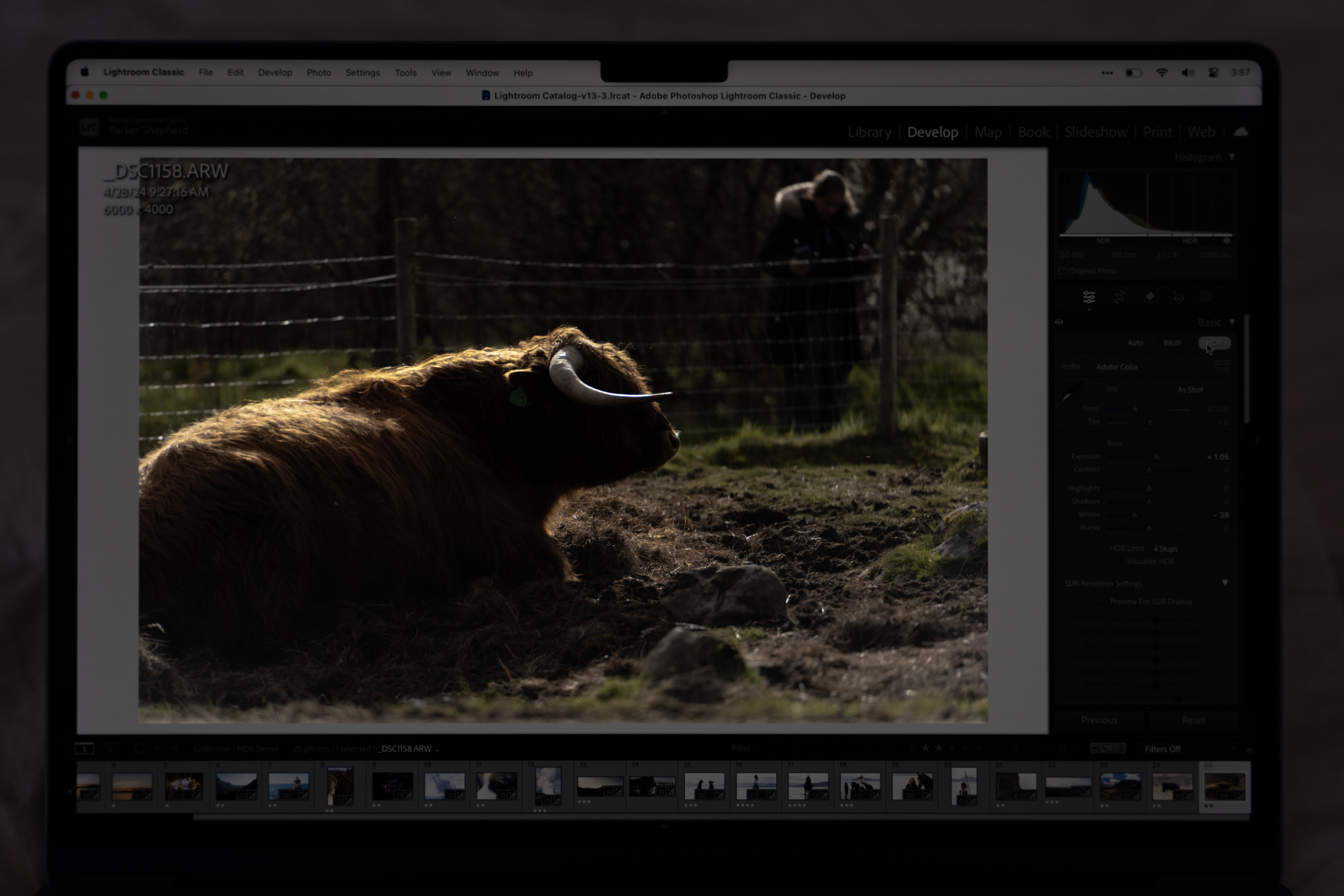 Hairy Coo HDR